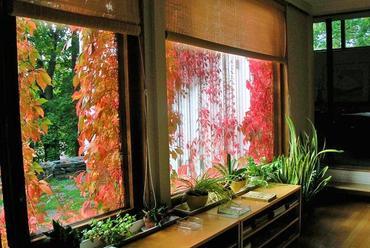 Kilátás Aalto nappalijából a kert felé