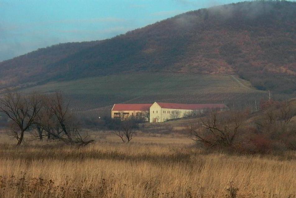 Elkészült a Béres Borászat Erdőbényén