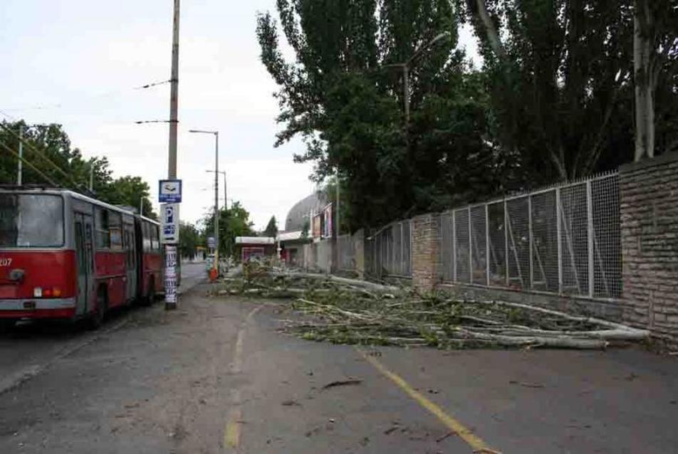 Az éghajlatváltozás és a kleptokrata város