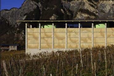 Wine-Grower Estate 	Gantenbein