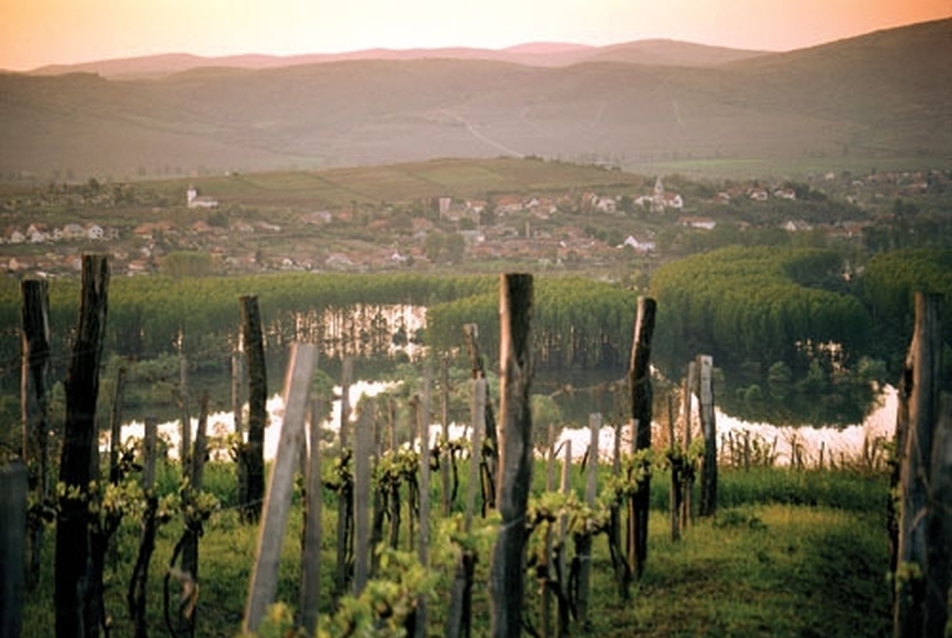 Világörökségi ügyek — Tokaj