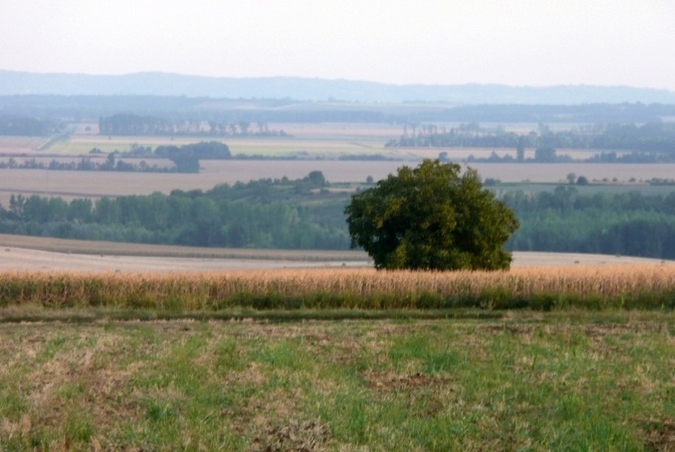 Lánycsók, 2009.08.22. fotó: perika