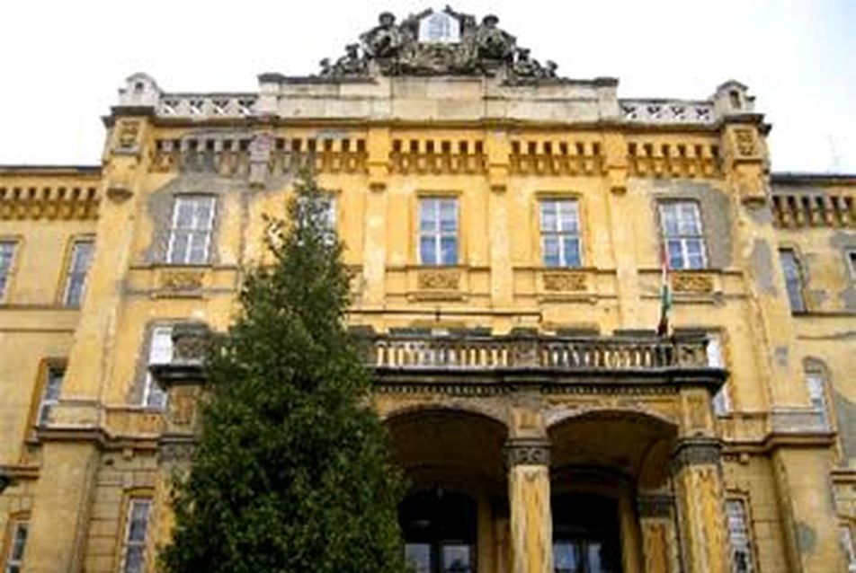 Városi séták — Országos Pszichiátriai és Neurológiai Intézet