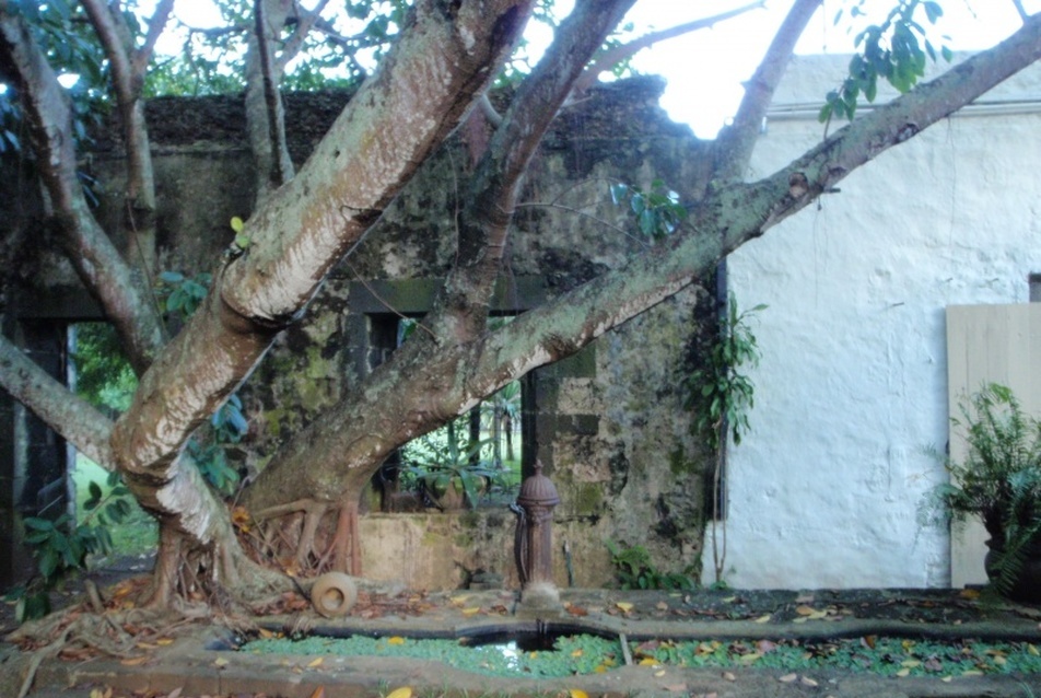 Moulin Casse, Mauritius. Vezető tervező: Geoffrey Bawa, fotó: Sánta Gábor.