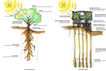 Home Tree koncepció - Borislav Ignatov