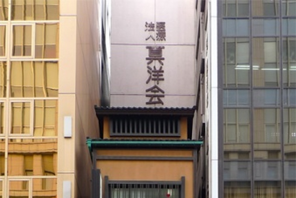 A városi tér háziállatai – Tokió apró épületei