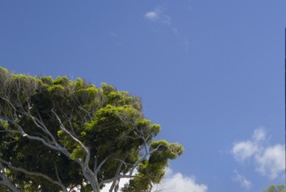 Waipolu  Galéria és stúdió - Oahu, HI