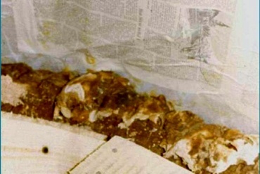 Stukkómentés a Díszteremben 1990 körül