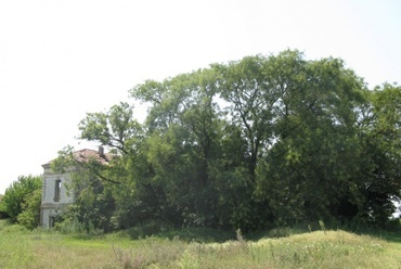Táborfalva, Vogt-kúria 2010-ben
