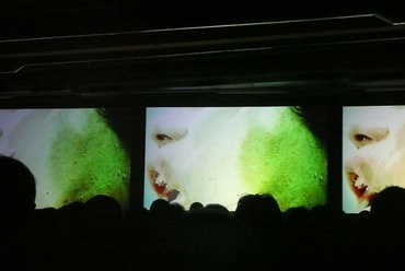 Herman Kolgen: Inject c. előadása a 2010-es Ars Electronican, fotó: perika