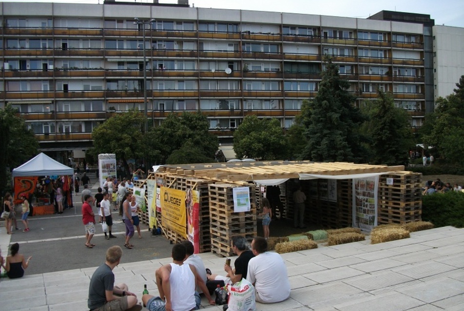 A pavilon megtelik élettel, fotó: Nagy Orsolya