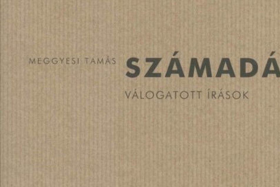 Meggyesi Tamás: Számadás