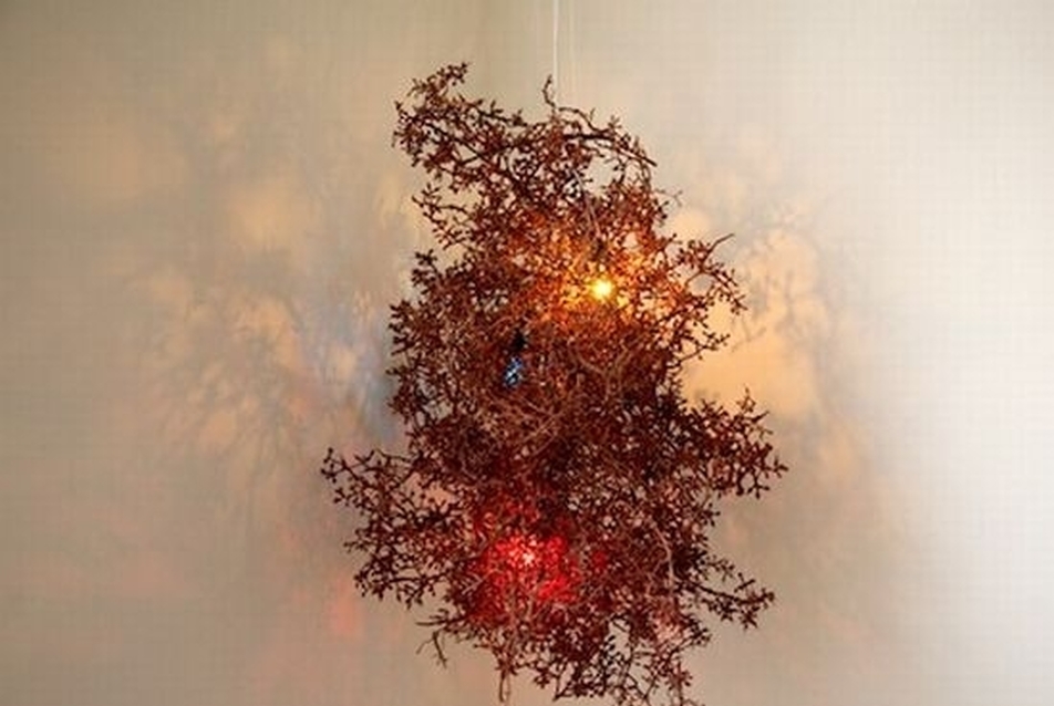 Szőlőszár lámpa - Diego Perez