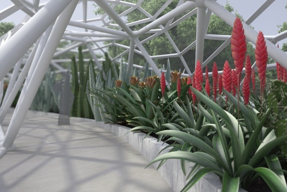 Üvegház – Kaktusz folyosó közepe
