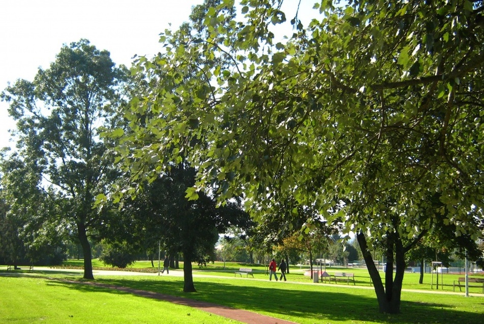 Havashalom park és Sashalmi sétány, fotó: Bolvári Eszter