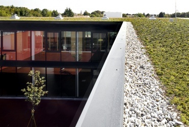 Ponzano iskola, építészek: Carlo Cappai, Maria Alessandra Segantini - Zöldtető, fotó: Alessandra Bello