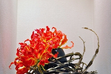 A Sogetsu Iskola ikebana kiállítása, fotó: Várhelyi Judit