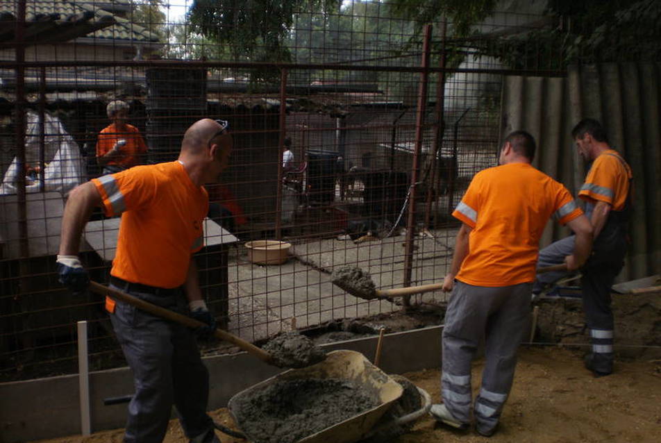 A Holcim önkéntesei Miskolcon, fotó: Holcim