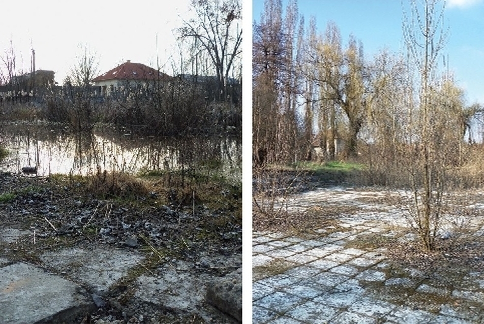 A terület jelenlegi elszomorító állapota, fotó: Trásy Krsiztina