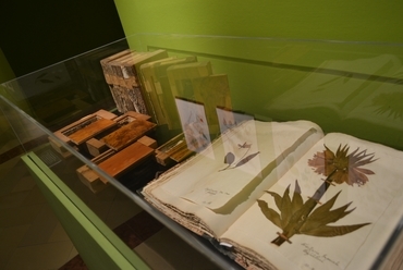 Fakönyvek és herbáriumok
