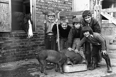 London, Kentish Town City Farm