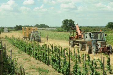 faluÉPÍTÉS 2013 – a győri építészhallgatók második közösség-építő tábora