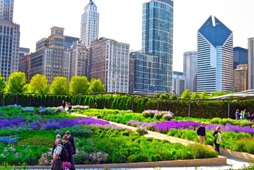 Chicago Millenium park, forrás: Travigators