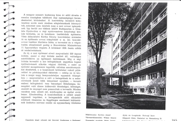 11. sz. Honvéd Helyőrségi Kórház (Tér és Forma, 1941. évi kötet)