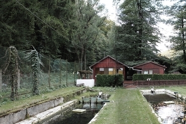 alsó medencék a szolgálati lakással és az erdei halsütödével, fotó: Hitró Ágnes