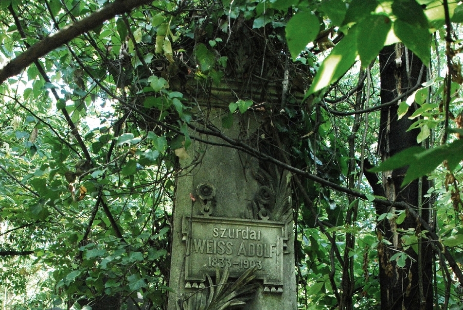 A temető mai állapota, fotó: Hüttl Sarolta