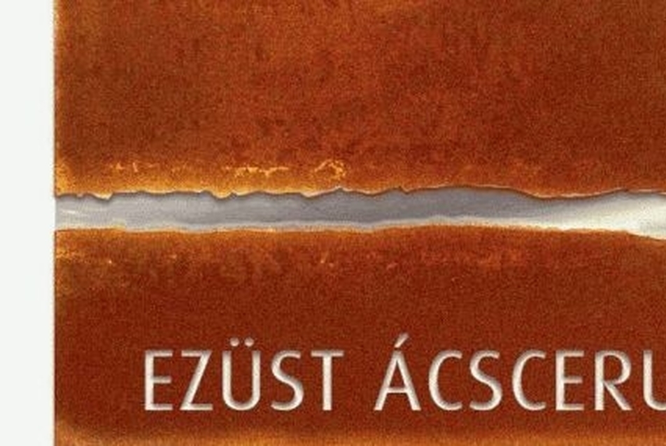 Ezüst Ácsceruza-díj 2014