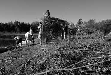 Fészek - dAM 2014