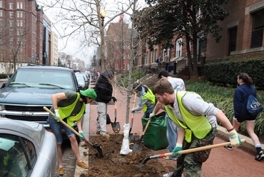 Million Tree Project, New York. Forrás: www.caseytrees.org