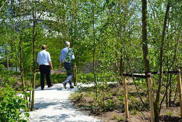 Novo Nordisk Nature Park, Bagsværd. Fotó: Torben Petersen & SLA Architects