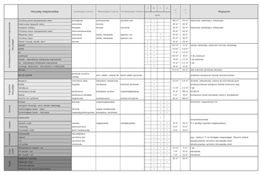 Részletes tervezési program