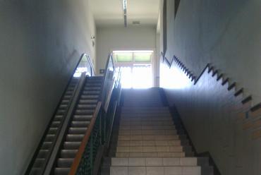 A szintkülönbség legyőzésére szolgáló lépcső, fotó: dr. Rigó Mihály