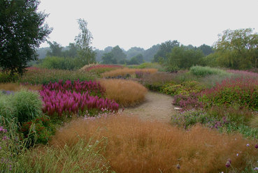 Piet Oudolf - Pensthorpe garden (forrás: Piet Oudolf)