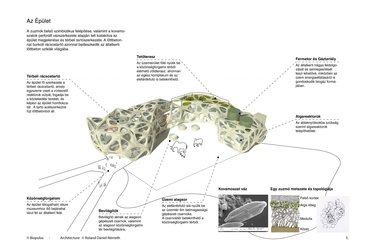 Állatkerti Ökoközpont, layout - tervező: Németh Roland Dániel