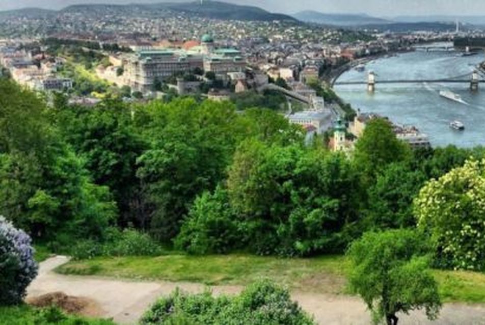 Tízezer új fát ültetnek Budapesten
