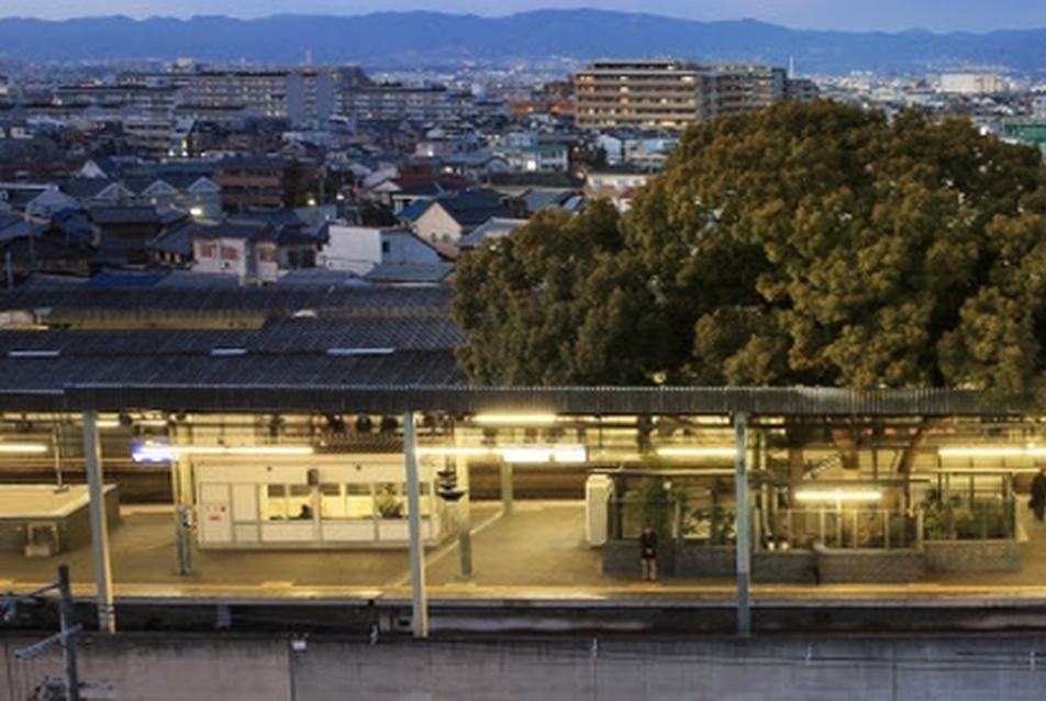 A 700 éves szellem: japán népmese egy vasútállomásról és egy kámforfáról