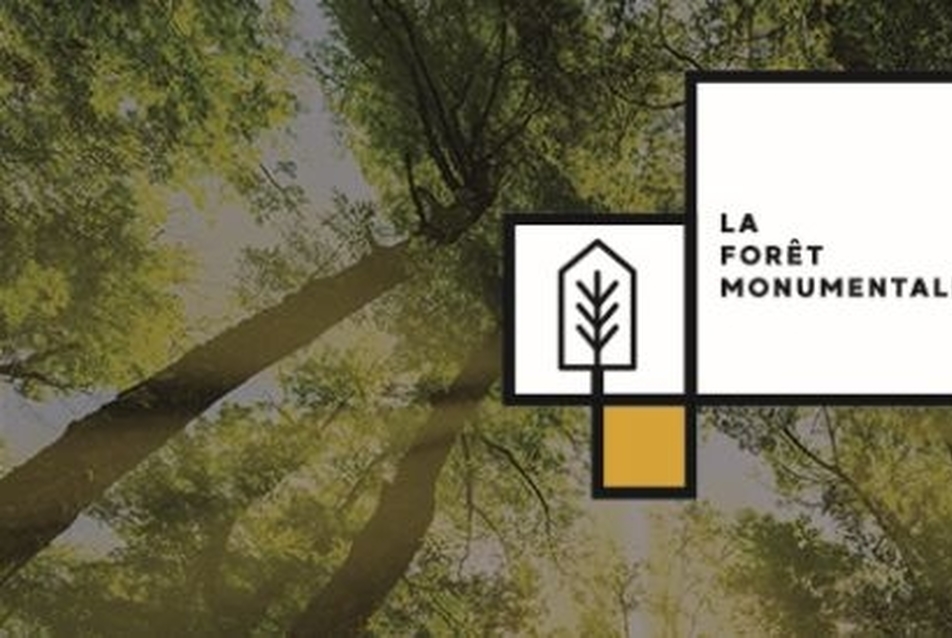 La Forêt Monumentale - nemzetközi pályázat