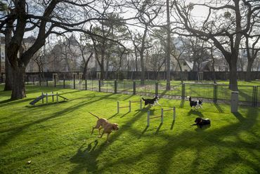 A kutyás élménypark átadásával több, mint 5000 négyzetméterrel bővült a park zöld területe