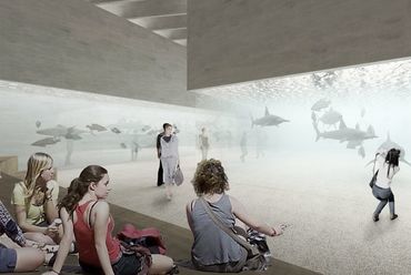 Az akvárium bentről - építész: Lévai Tamás (TARKA Architects)