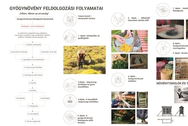 Gyógynövény feldolgozás, Gyógynövényház manufaktúra, Tervező: Antal Anita, 2019., Konzulens: Dr. habil Anthony Gall PhD