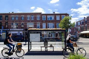 Méhbarát buszmegálló Forrás: Gemeente Utrecht