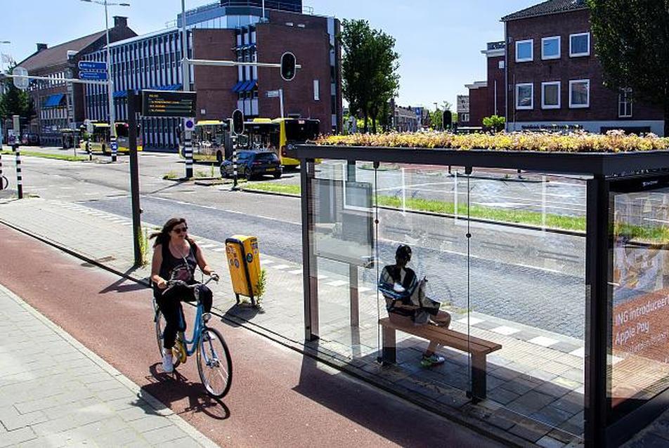 Méhbarát buszmegálló Forrás: Gemeente Utrecht
