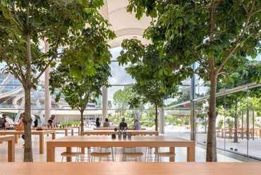 Apple Aventura Store, Miami - építész: Foster and Partners - fotó: Nigel Young