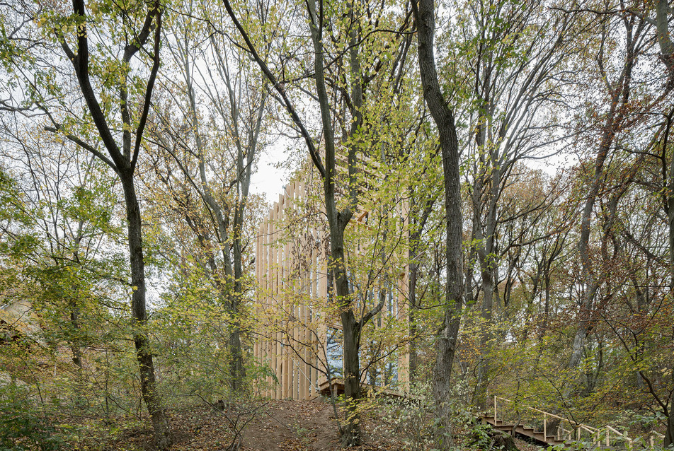 Fák között – Az ARKT Építész Stúdió újabb lombházai Noszvajon