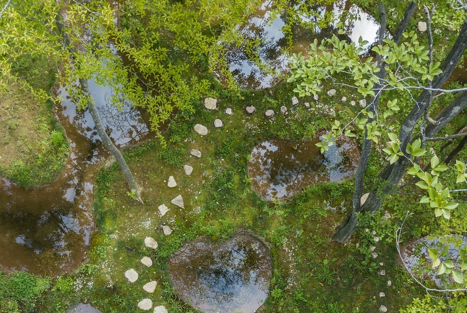 Álom vagy valóság? Junya Ishigami díjnyertes kertje Japánban