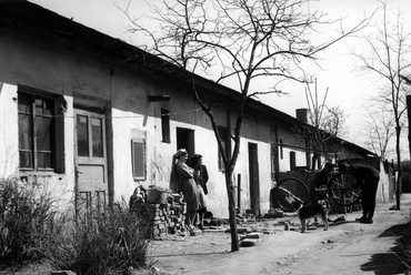 A Mária Valéria telep 1957-ben. Fotó: Fortepan / Budapest Főváros Levéltára / Városrendezési és Építészeti Osztályának fényképei